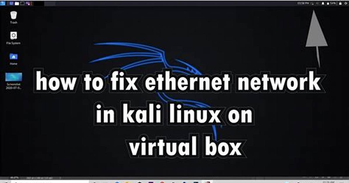 How Do I Enable Internet on Linux?