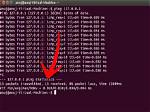 How Do I Enable Ping on Linux Server?