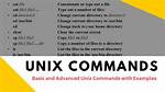 How Do I Execute a Unix Command?