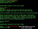 How Do I Exit Virtual Console in Linux?