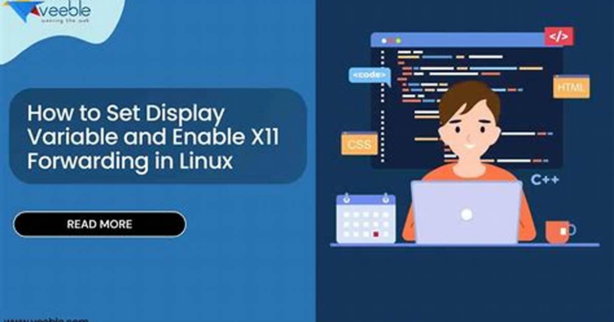 How Do I Export a Display Variable in Linux?
