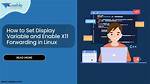 How Do I Export a Display Variable in Linux?