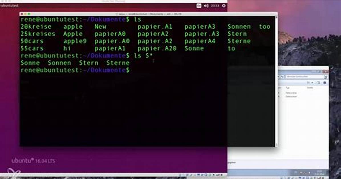 How Do I Filter Files in Linux?