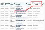 How Do I Find a Business Entity in Washington Dc