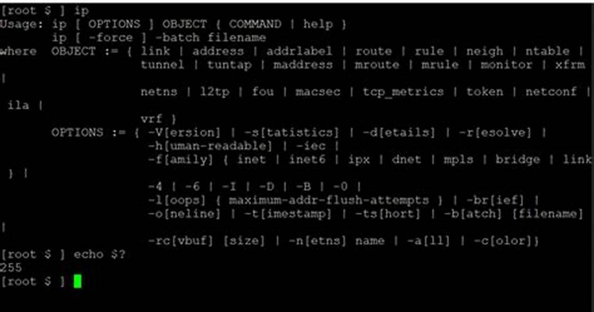 How Do I Find Exit Code in Linux?