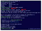 How Do I Find My Bash Version Ubuntu?