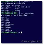 How Do I Find My Linux Shell Name?