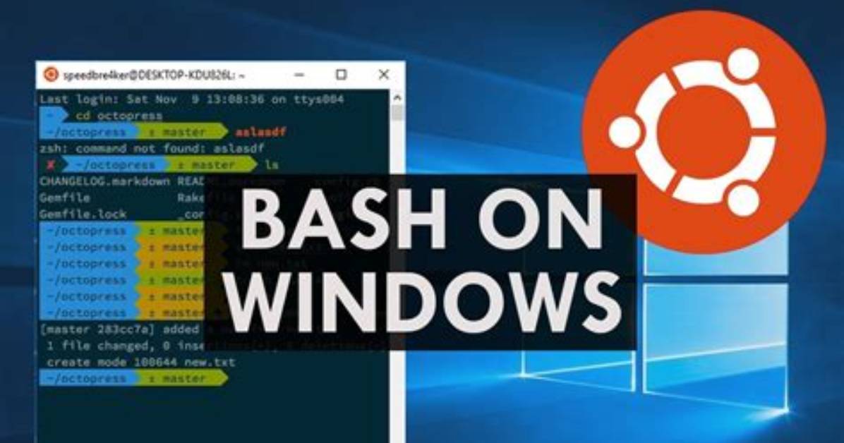 How Do I Find the Bash Shell in Linux?