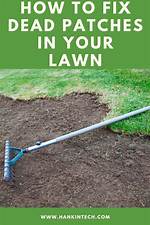 How Do I Fix Dead Patches in My Lawn