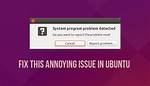 How Do I Fix System Program Problem Detected in Ubuntu?