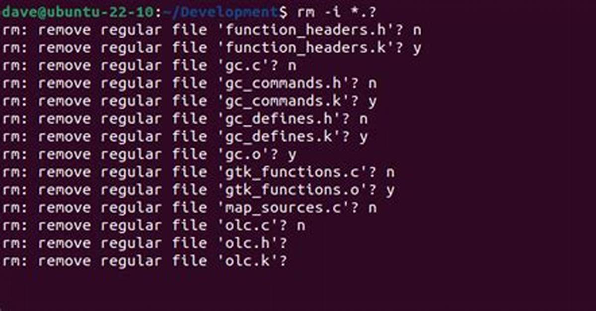 How Do I Force Rm in Linux?