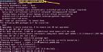 How Do I Get Wget on Linux?