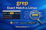 How Do I Grep Exact String in Linux?