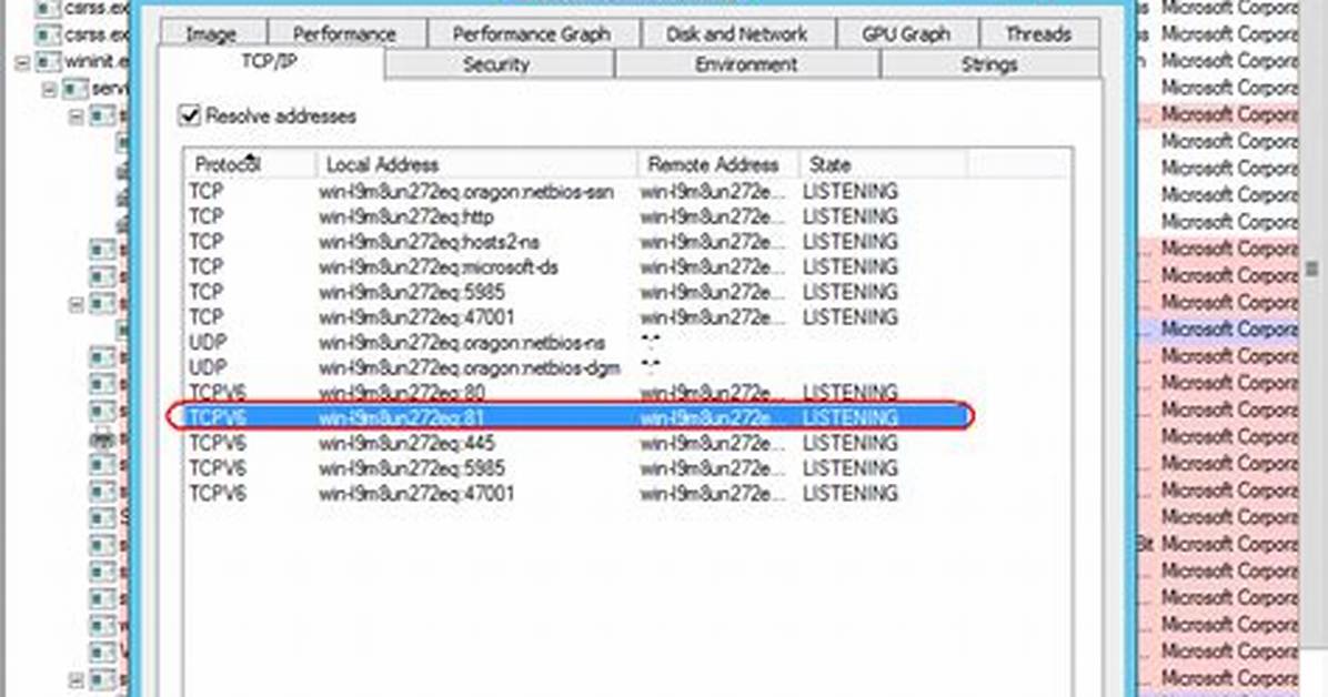 How Do I Insert a W3Wp Process in Visual Studio