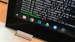 How Do I Install Apps in Linux Mint?