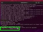 How Do I Install Chrome on Linux Mint 19?