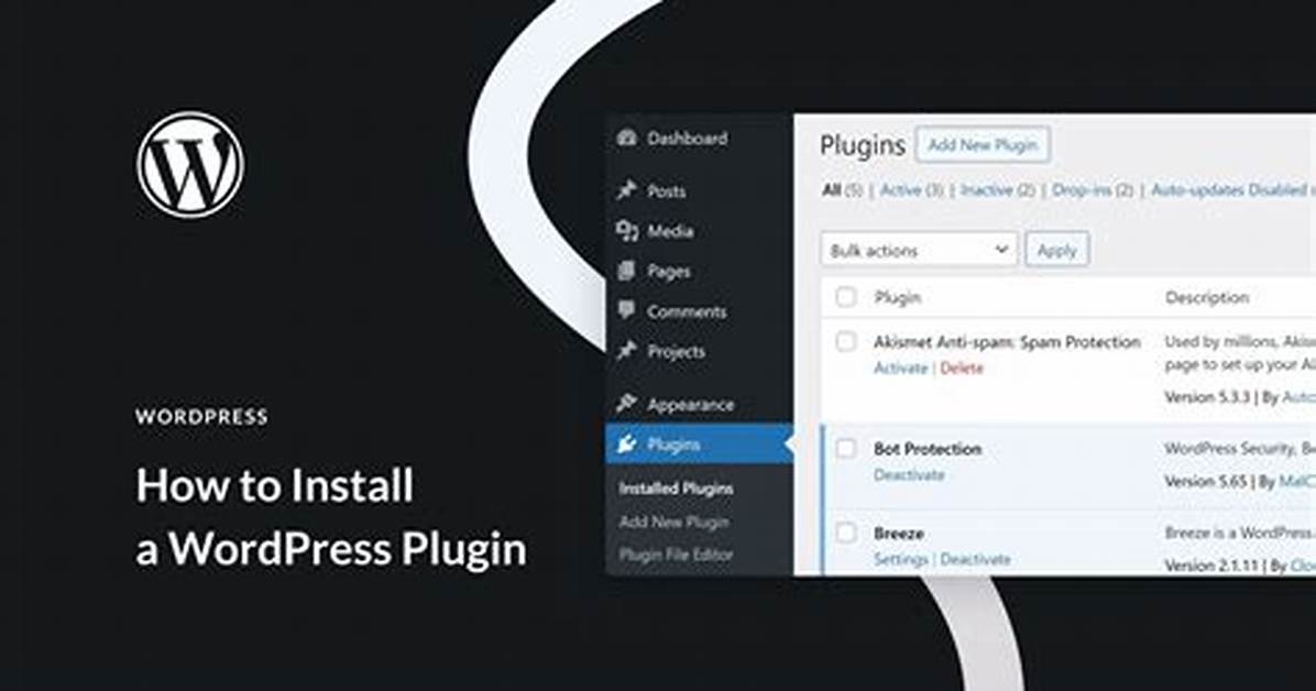 How Do I Install Plugins?