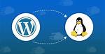 How Do I Install Wordpress on Linux Mint?