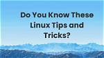 How Do I Know If a Linux Module Is Installed?