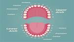How Do I Know If My Tooth Nerve Is Damaged?