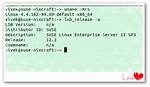 How Do I Know My Linux Distribution?