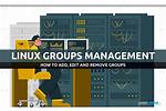 How Do I Manage Groups in Linux?