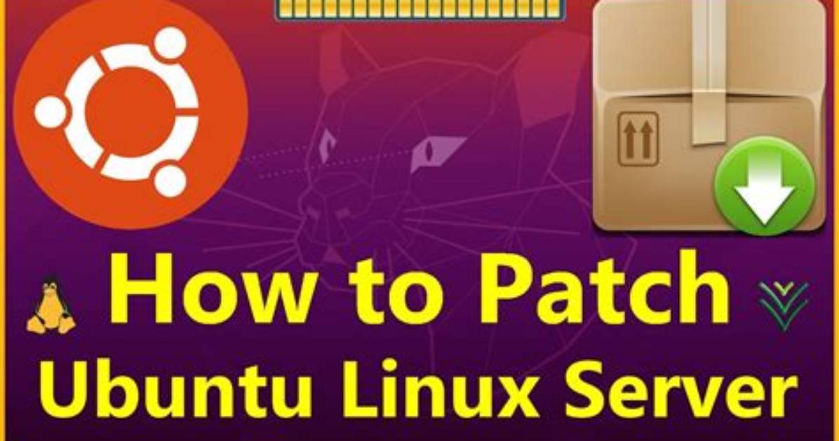 How Do I Manually Patch a Linux Server?