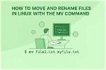 How Do I Move in Linux?