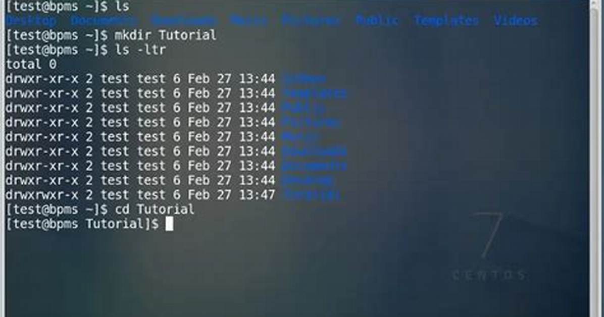 How Do I Open a Vim File in Linux?