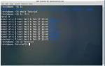 How Do I Open a Vim File in Linux?