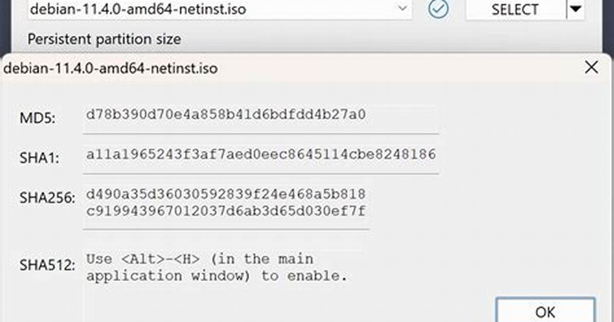 How Do I Open Rufus Linux?