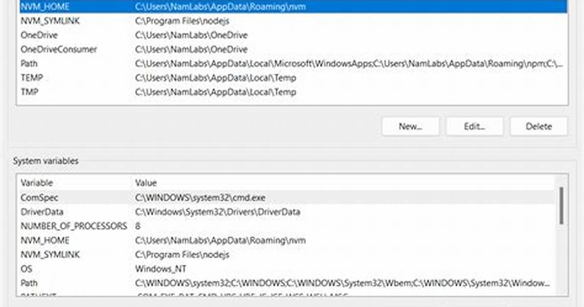 How Do I Print an Environment Variable in Linux Terminal?