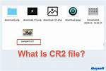 How Do I Process Cr2 Files?
