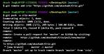 How Do I Push to Github Under a Different Username?