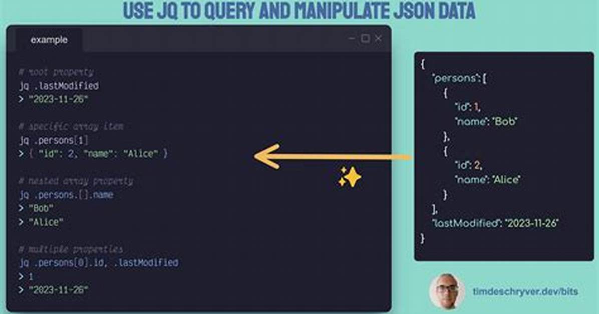 How Do I Query Json Data?