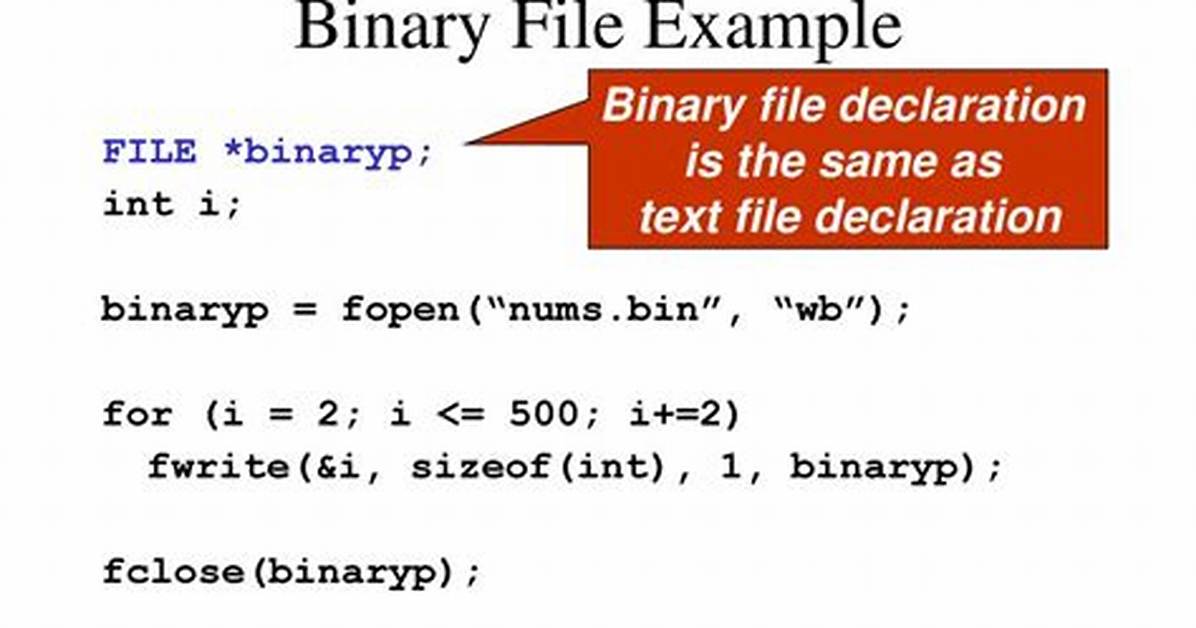 How Do I Read a Binary File in Linux?