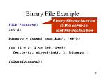 How Do I Read a Binary File in Linux?