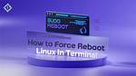 How Do I Reboot a Linux Machine?