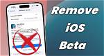 How Do I Remove iOS 14 Beta from My Phone?