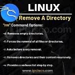 How Do I Remove Linux from a Dual Boot System?