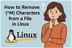 How Do I Remove M Characters from a Unix File?