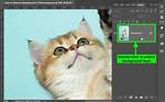 How Do I Restore a Background Layer in Photoshop?
