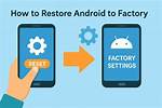 How Do I Restore My Android Software?
