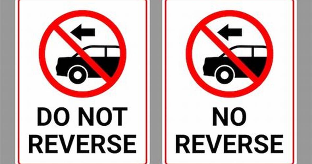 How Do I Reverse a C++ Vector?