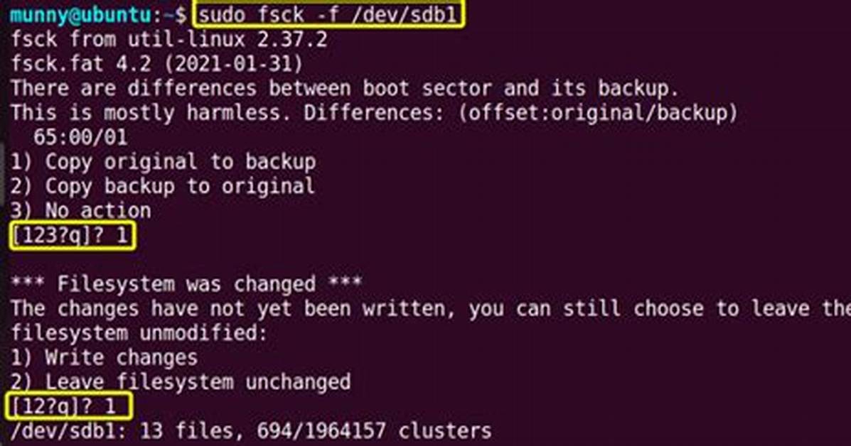 How Do I Run a Fsck Variable in Linux?