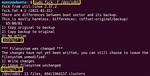 How Do I Run a Fsck Variable in Linux?