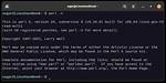 How Do I Run a Perl Linux Command?