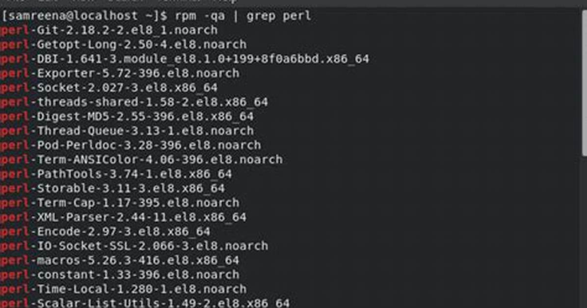 How Do I Run a Perl Script in Linux with Parameters?