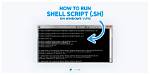 How Do I Run a Sh Script in Unix?