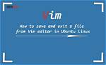 How Do I Run a Vim File in Linux?